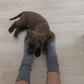 Freja - Grau - Socken