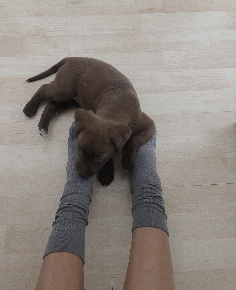 Freja - Grau - Socken